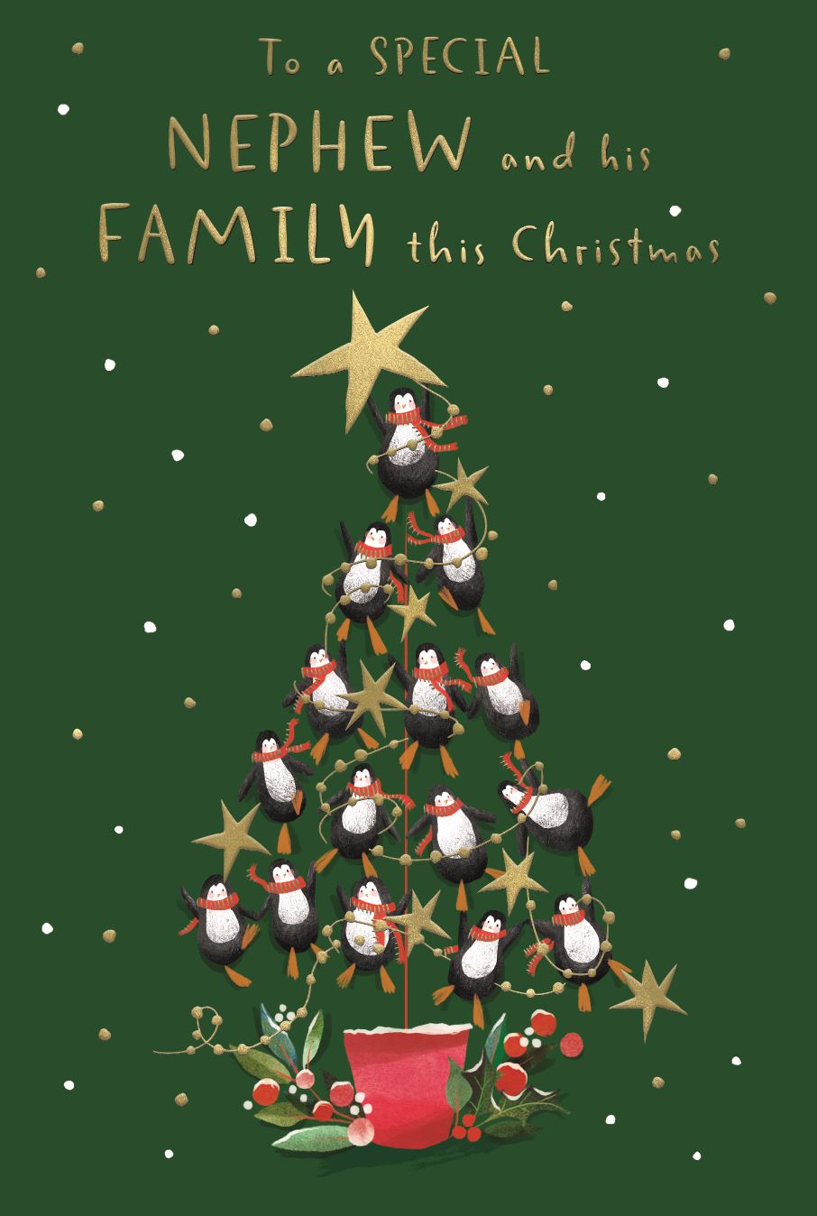 Xmas Nephew & Family