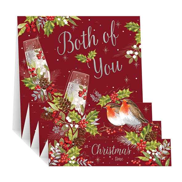 Both of you, Robins - pop up Christmas card
