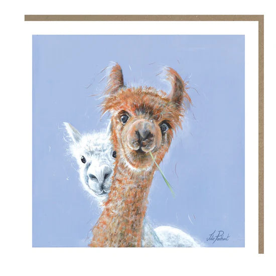 Alpacas  by Julia Pankhurst - Blank greetings card