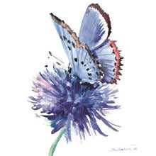 Blue butterfly -  blank card