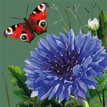 Cornflower & butterfly - blank greetings card