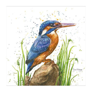 Kiera, the Kingfisher  - Bree Merryn blank card