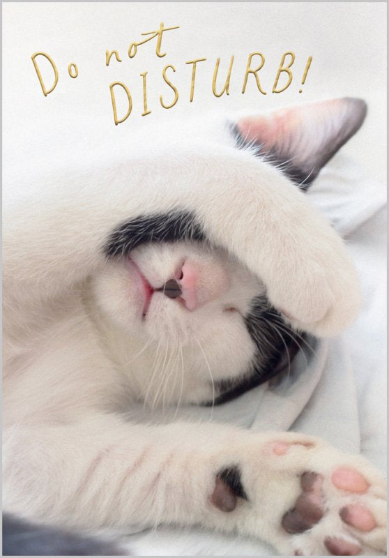 Do not disturb -Blank card