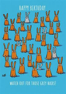 Grey Hairs - Birthday card