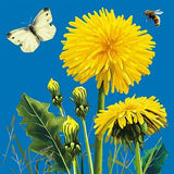 Dandelions - blank greetings card