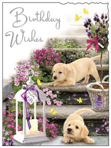 Flowers & puppies - Jonny Javelin birthday cards