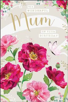 Wonderful Mum - Jonny Javelin birthday card