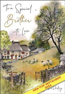 Special Brother - Jonny Javelin cards