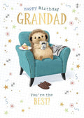 Grandad Hartley the Hedgehog - Birthday card