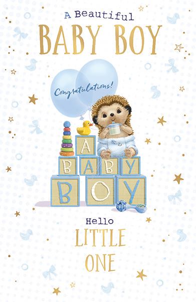 Baby Boy, Hartley the Hedgehog new baby  card
