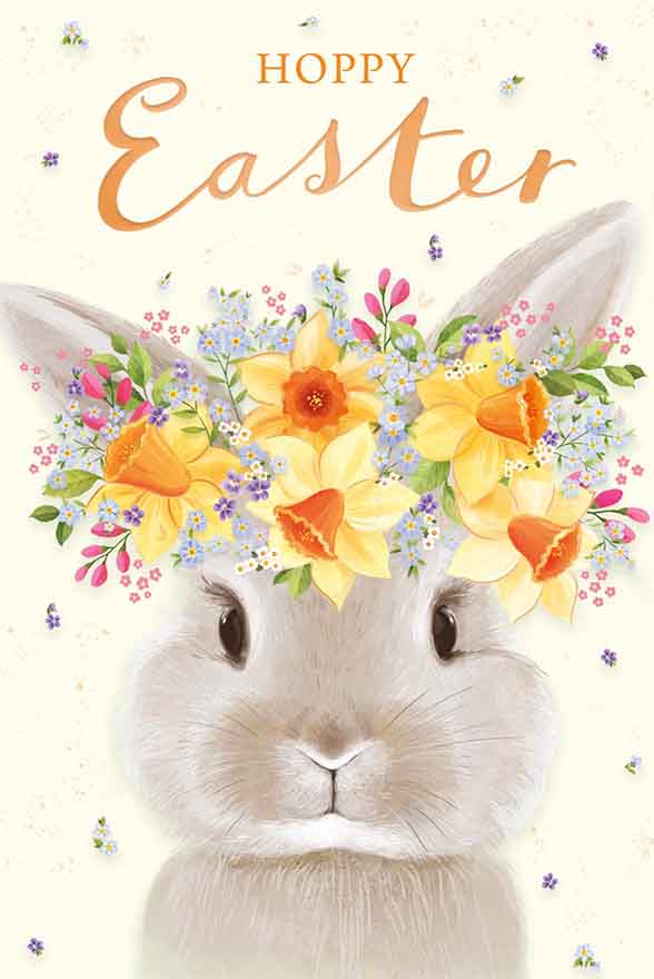 Easter Bunny - Pack of 4 Easter cards