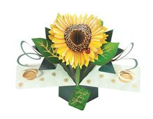Sunflower - 3d Second Nature pop up card