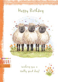 Sheep - Birthday card