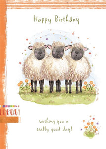 Sheep - Birthday card