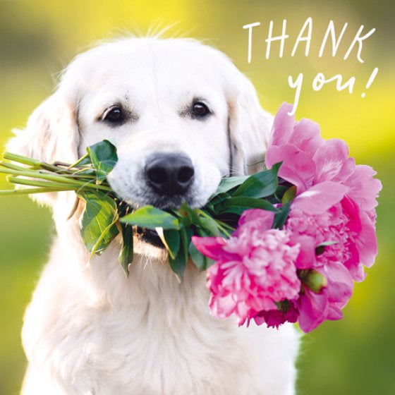 Thank you, lab with flowers- Pack of 6 notelets”
