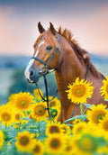 Sunflower Stallion - birthday card