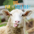 Cheeky sheep - birthday card