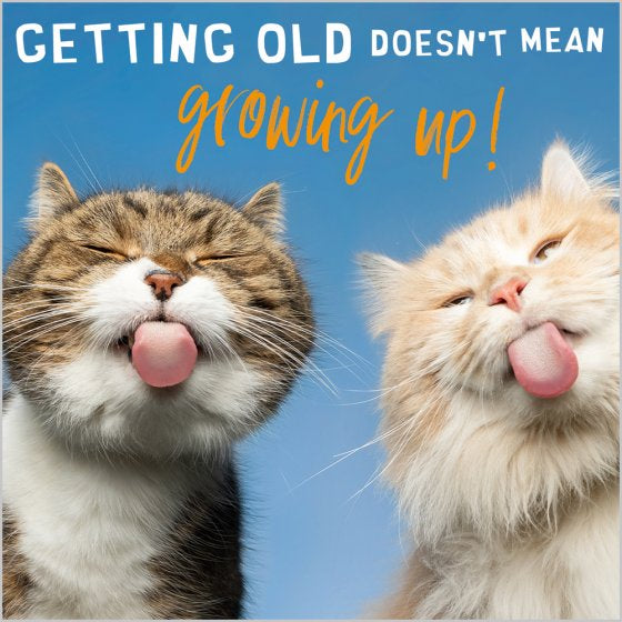 Cheeky cats - birthday card