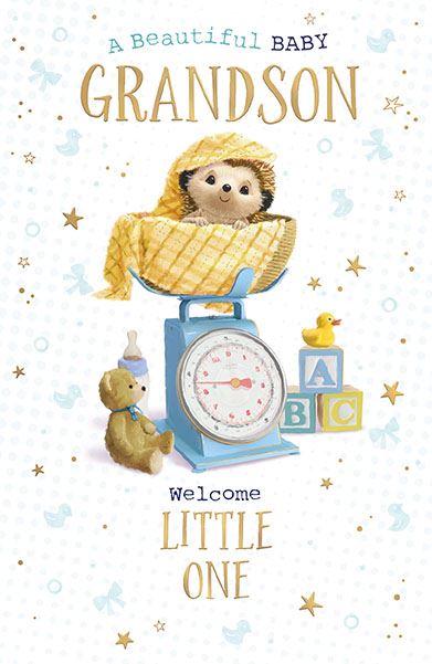 Birth of your Grandson -, Hartley the Hedgehog