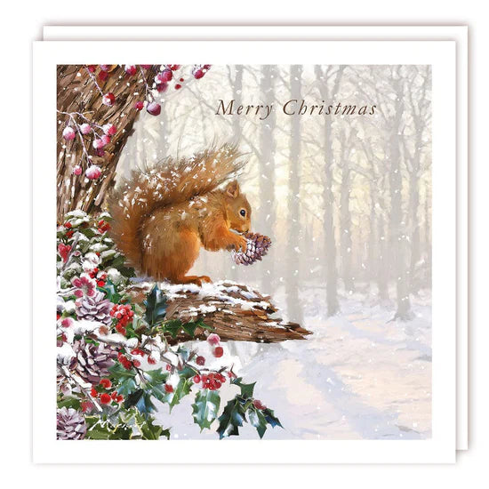 Red squirrel - pack of 5 Charity Christmas cards