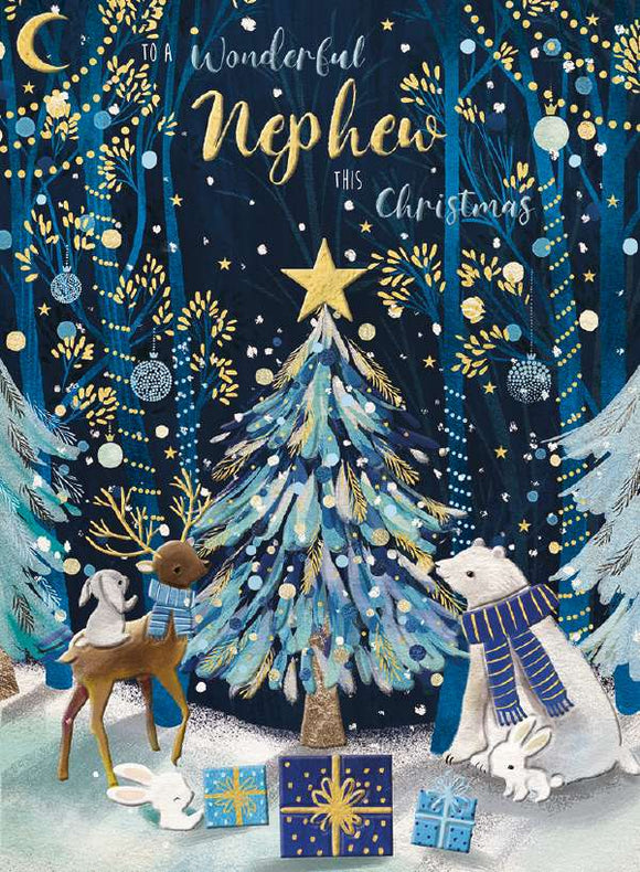 Nephew Christmas card