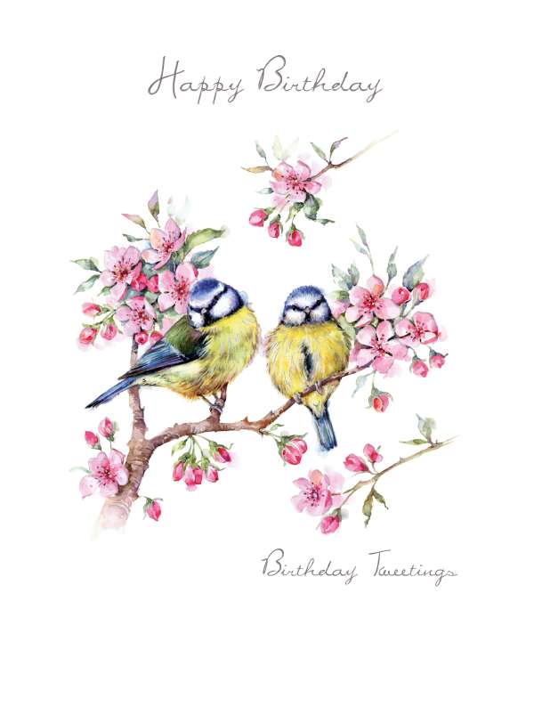 Birthday tweetings - birthday card