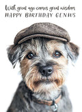Great Age, Great Wisdom - birthday card
