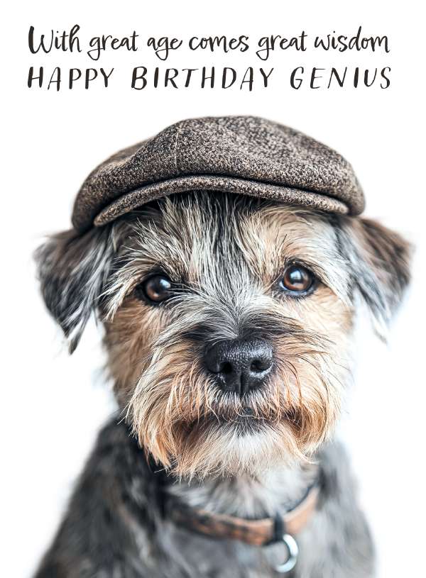 Great Age, Great Wisdom - birthday card