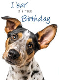 i 'ear it's your birthday.. - birthday card