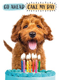 Cake my day!... - birthday card
