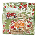 Cat in basket - blank greetings card
