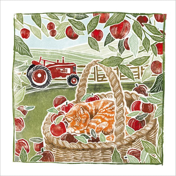 Cat in basket - blank greetings card