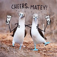 Cheers Matey - funny birthday card