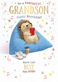 Grandson Hartley the Hedgehog Birthday card