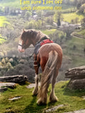Riderless horse - Cowshed cards