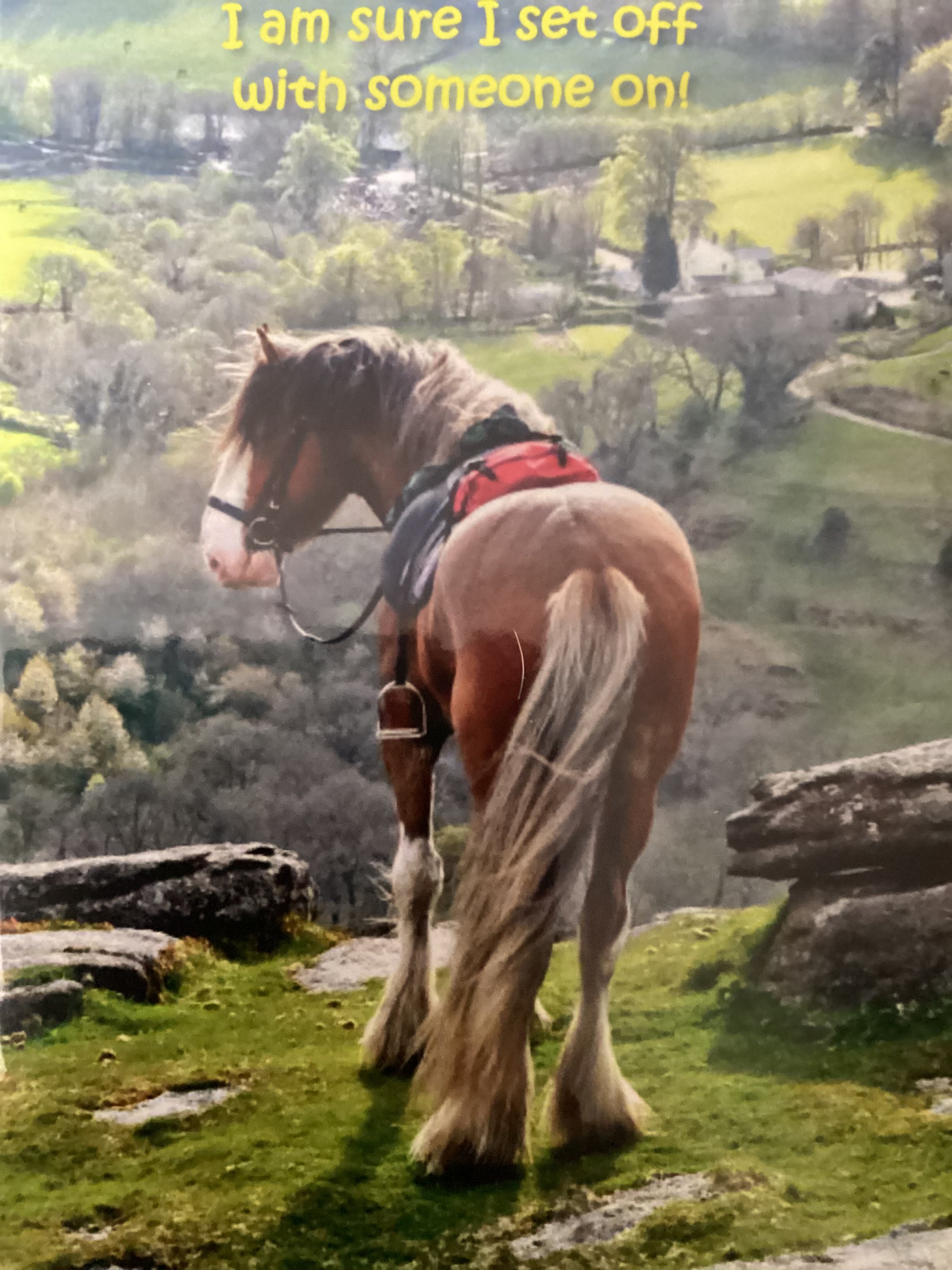 Riderless horse - Cowshed cards