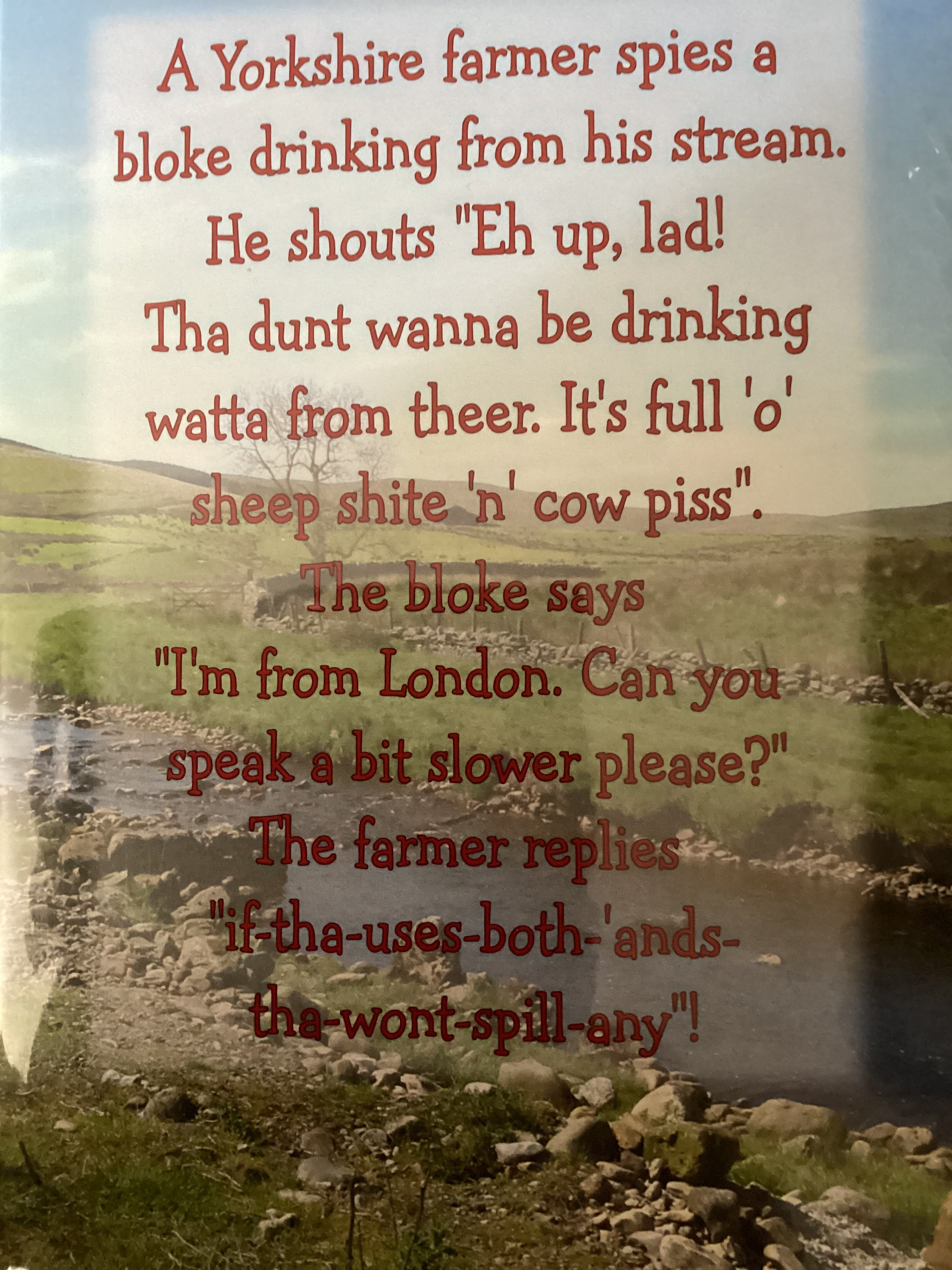Yorkshire humour - Cowshed birthday card