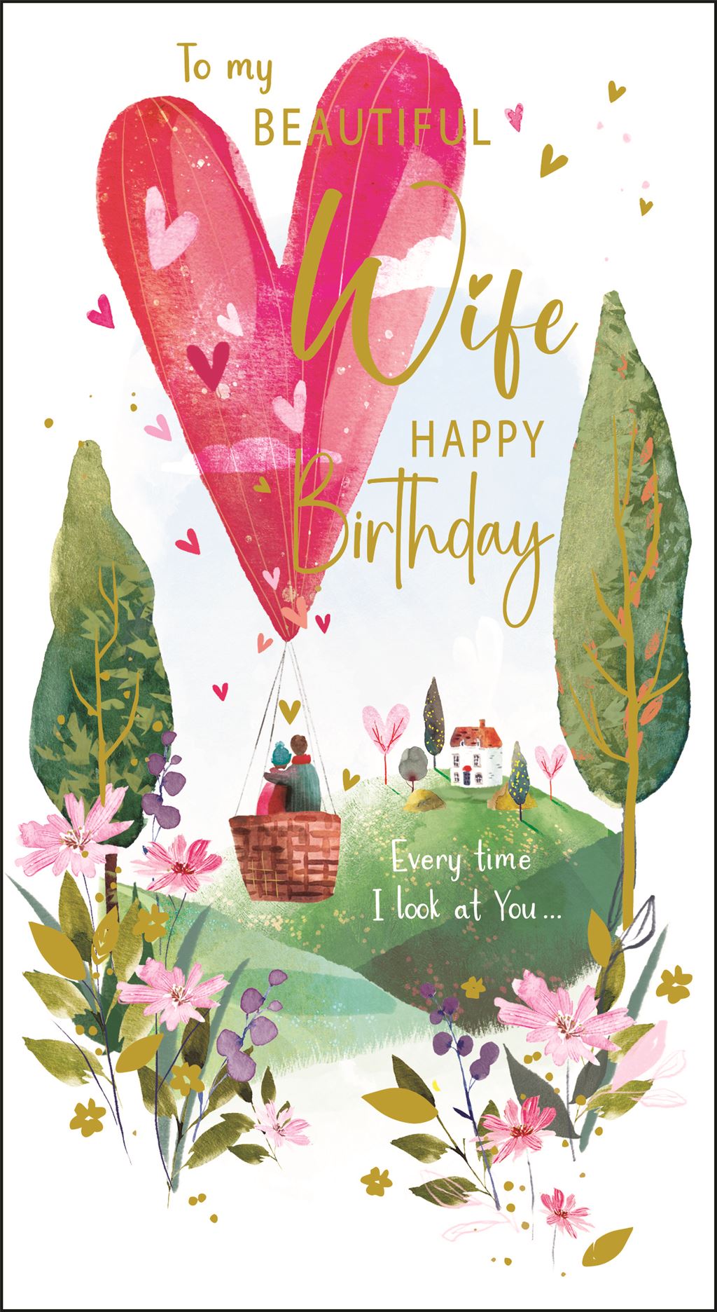 Beautiful Wife, hot air ballooning - Jonny Javelin birthday cards