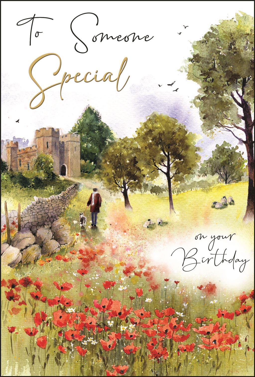 To Someone special, birthday - Jonny Javelin card