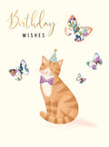 Birthday cat - birthday card