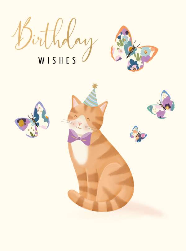 Birthday cat - birthday card