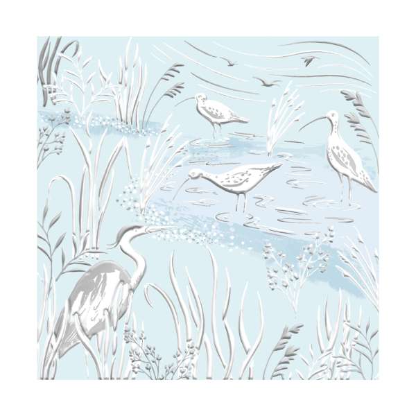 Water birds - blank greeting card