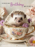 Sending Birthday Wishes, hedgehog