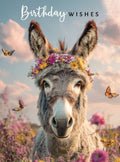 Happy Birthday, donkey