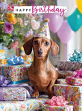 Happy Birthday, dachshund