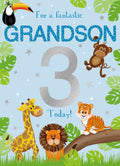 Grandson 3rd Birthday card