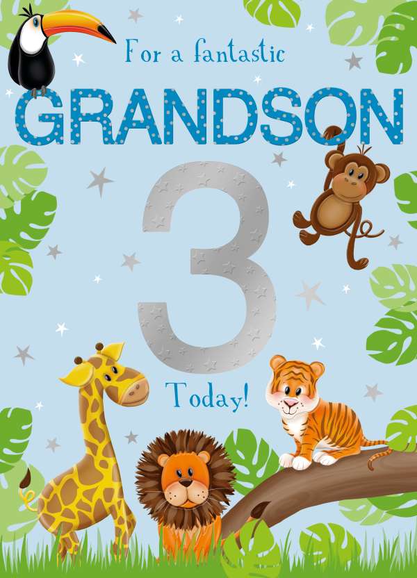 Grandson 3rd Birthday card