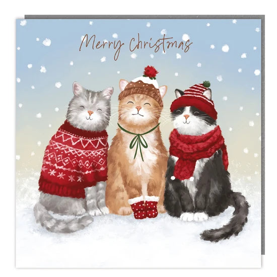 Carolling Cats Charity Cards - Pack of 5 - Christmas Cards