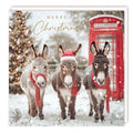 3 Christmas Donkeys Charity - pack 5 - Christmas Cards