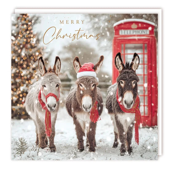 3 Christmas Donkeys Charity - pack 5 - Christmas Cards
